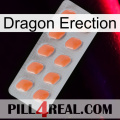 Dragon Erection 26